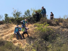 Thumbnail of P3150056.JPG