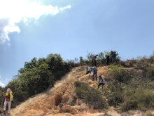 Thumbnail of P3150057.JPG