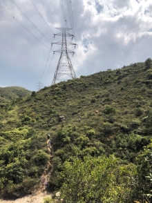 Thumbnail of P3150065.JPG