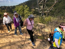 Thumbnail of P3150069.JPG