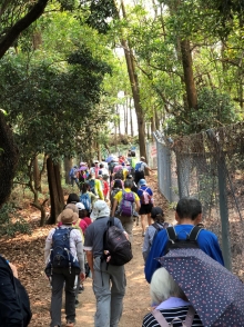 Thumbnail of P3220007.JPG