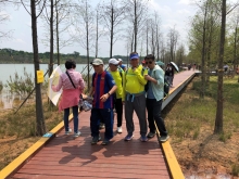 Thumbnail of P3220029.JPG