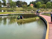 Thumbnail of P3220040.JPG