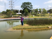 Thumbnail of P3220042.JPG