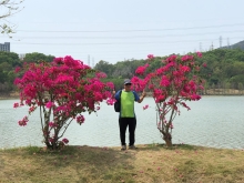 Thumbnail of P3220063.JPG