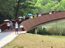 Thumbnail of P3220080.JPG