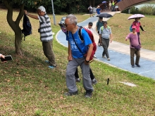 Thumbnail of P3220087.JPG