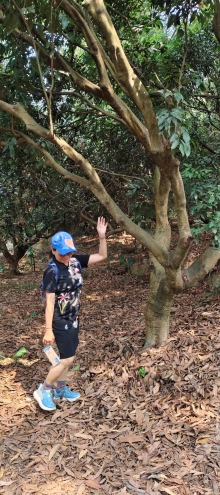 Thumbnail of pic_Derek_Wong_007.jpg