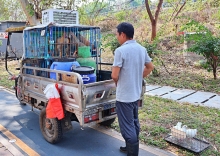 Thumbnail of pic_Lee_Shing_007.JPG