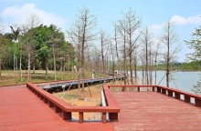 Thumbnail of pic_Lee_Shing_018.JPG