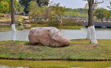 Thumbnail of pic_Lee_Shing_031.JPG