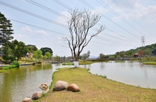 Thumbnail of pic_Lee_Shing_033.JPG