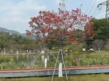 Thumbnail of pic_TB_Tung_031.JPG