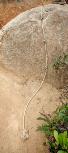 Thumbnail of pic_Cindy_Tse_028.jpg