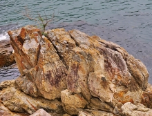 Thumbnail of pic_Shing_Lee_012.JPG