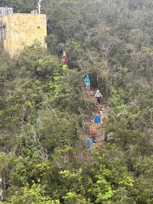 Thumbnail of pic_TB_Tung_003.JPG