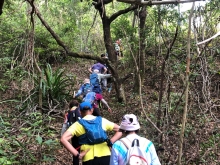 Thumbnail of P4120004.JPG