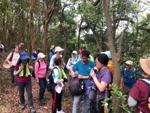 Thumbnail of P4120006.JPG