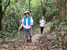 Thumbnail of P4120009.JPG