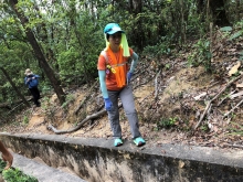 Thumbnail of P4120010.JPG