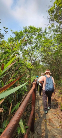 Thumbnail of pic_Si9_006.jpg