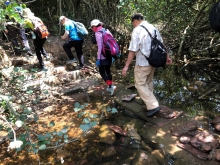 P4190023.JPG (609820 bytes)