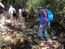 P4190025.JPG (609796 bytes)