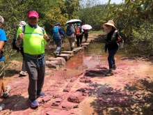 P4190027.JPG (612694 bytes)