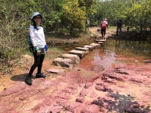 P4190030.JPG (684092 bytes)