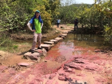 P4190031.JPG (683934 bytes)