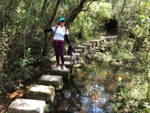 P4190041.JPG (775872 bytes)