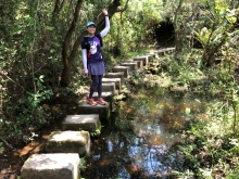 P4190046.JPG (662187 bytes)