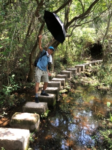 P4190047.JPG (703182 bytes)