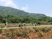 P4190061.JPG (528444 bytes)