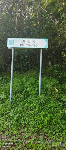 Thumbnail of pic_Fong_009.jpg