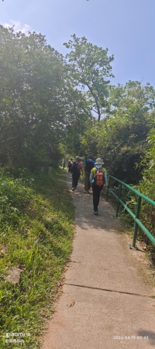 Thumbnail of pic_Fong_010.jpg