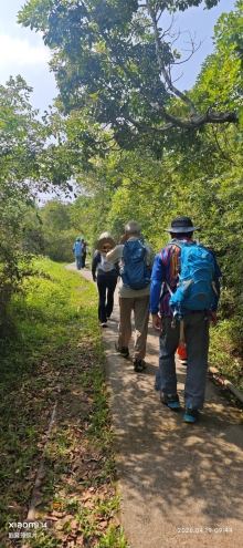 Thumbnail of pic_Fong_012.jpg