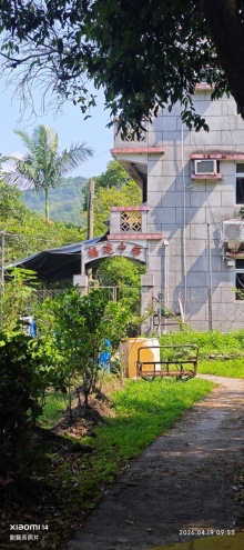 Thumbnail of pic_Fong_018.jpg