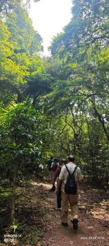 Thumbnail of pic_Fong_029.jpg