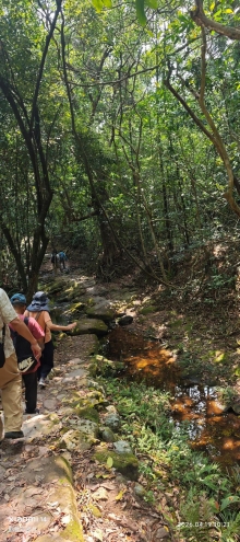 Thumbnail of pic_Fong_033.jpg