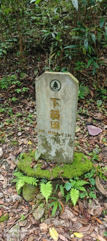 Thumbnail of pic_Fong_034.jpg