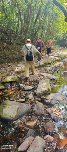 Thumbnail of pic_Fong_037.jpg