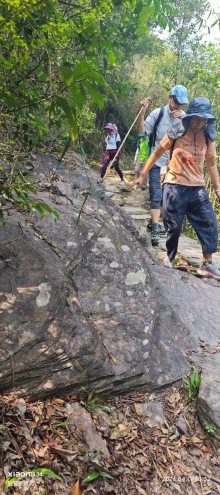 Thumbnail of pic_Fong_043.jpg