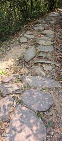 Thumbnail of pic_Fong_044.jpg