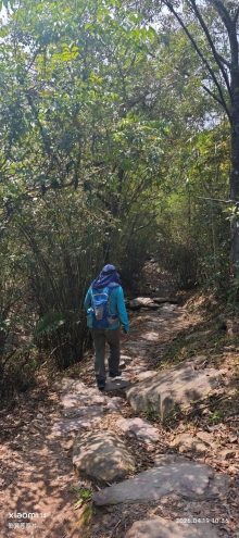 Thumbnail of pic_Fong_045.jpg