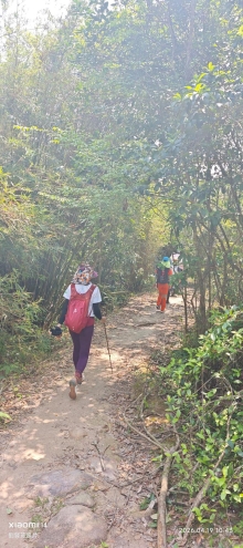 Thumbnail of pic_Fong_047.jpg