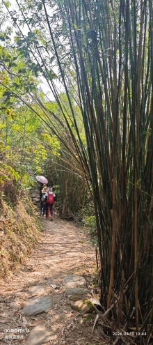 Thumbnail of pic_Fong_049.jpg