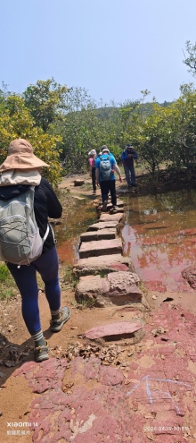 Thumbnail of pic_Fong_055.jpg