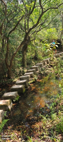 Thumbnail of pic_Fong_058.jpg