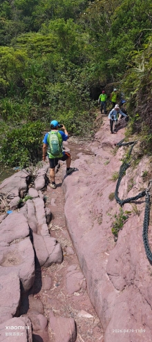 Thumbnail of pic_Fong_061.jpg